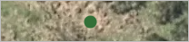 a green dot, in a scrub area